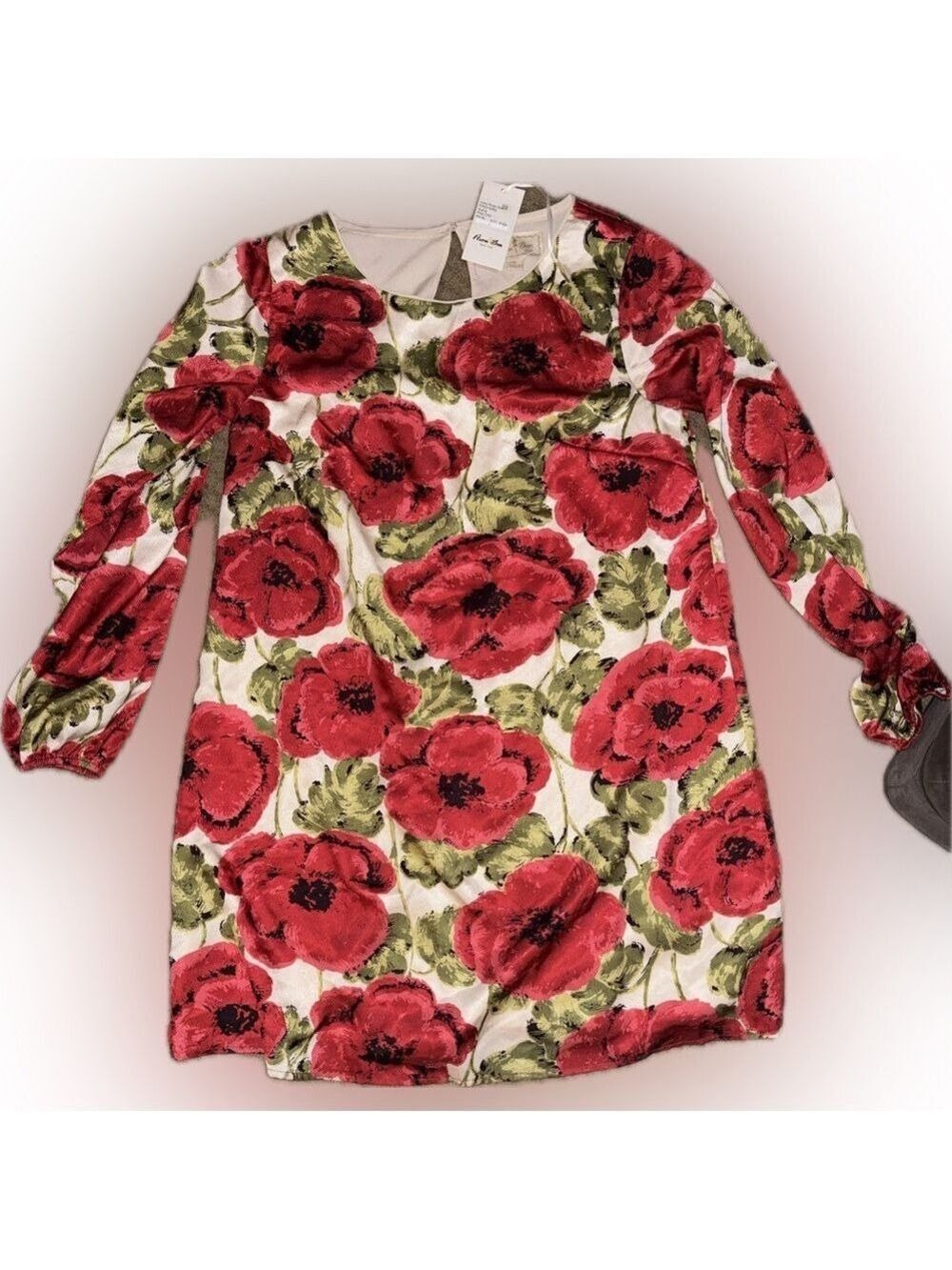 Flora Bea NYC - Boutique Ivory Rose Floral Print Dress